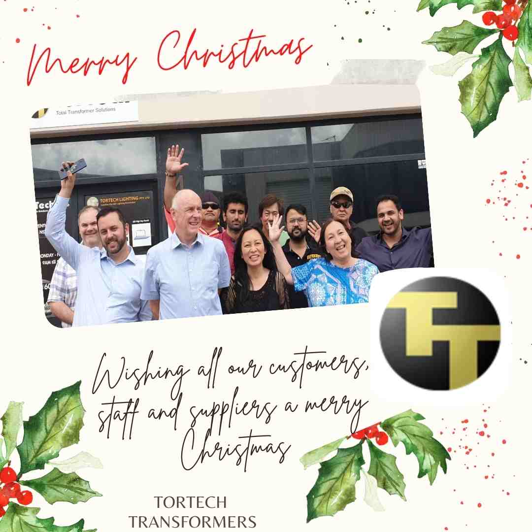 Read more about the article Merry Christmas from the Tortech team